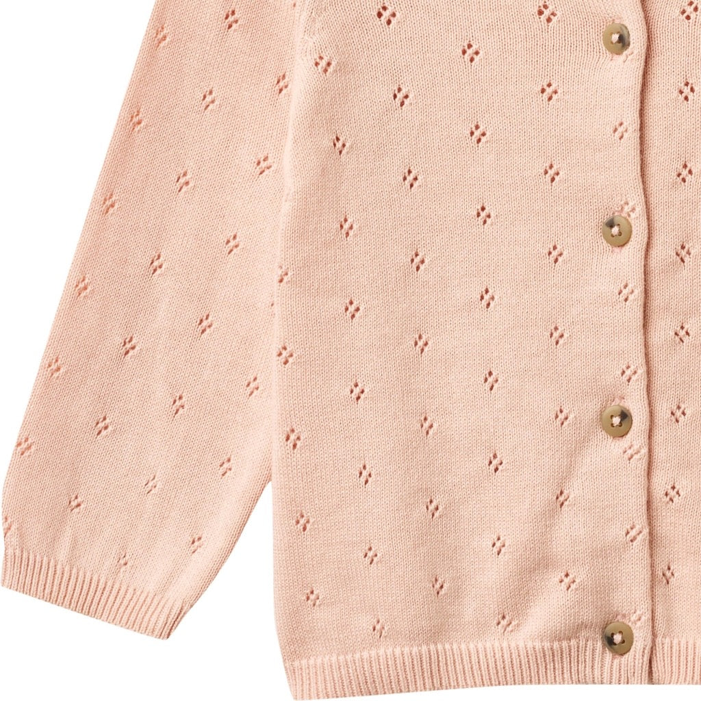 Wheat Maia strik Cardigan - Powder