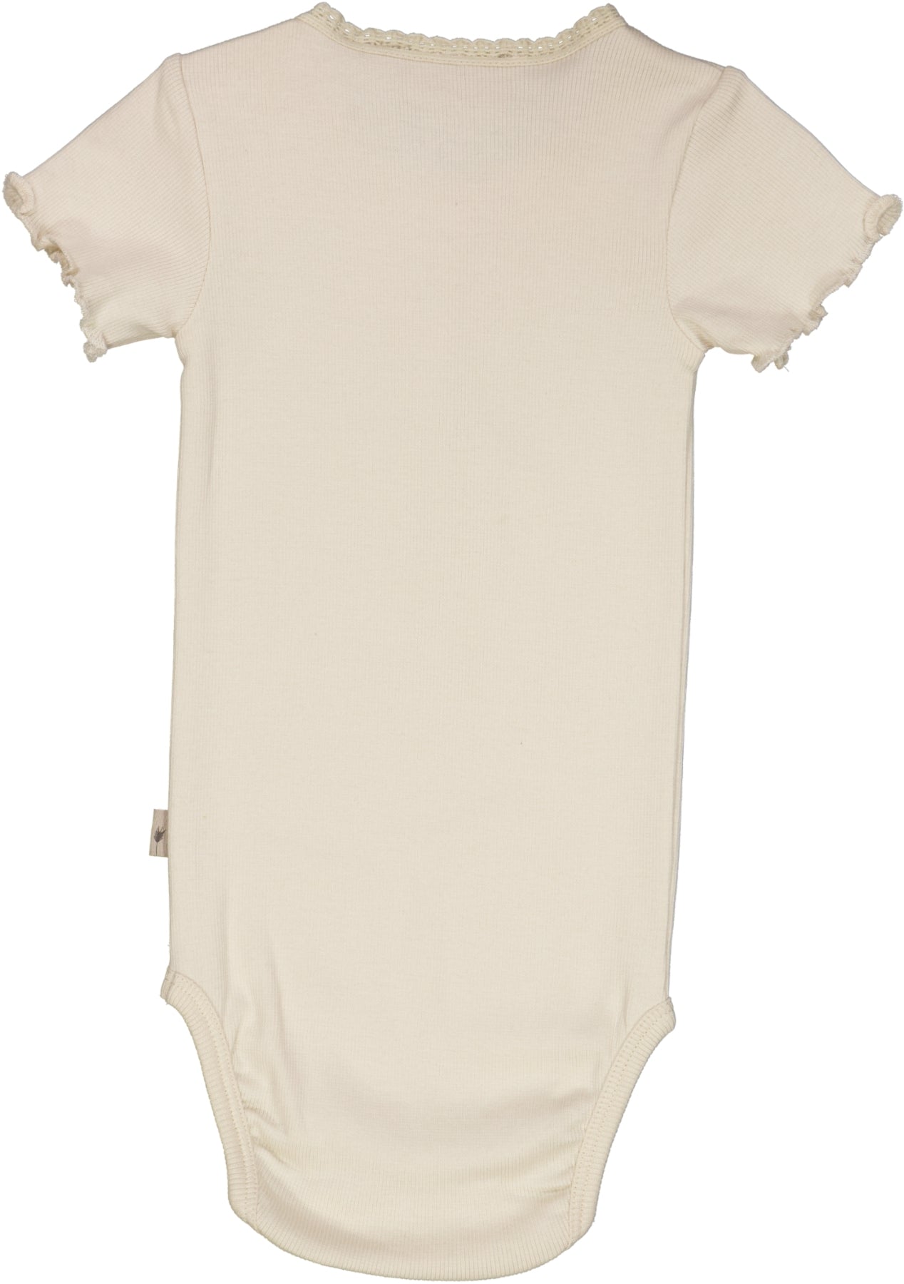Wheat Body Rib Lace SS - Eggshell