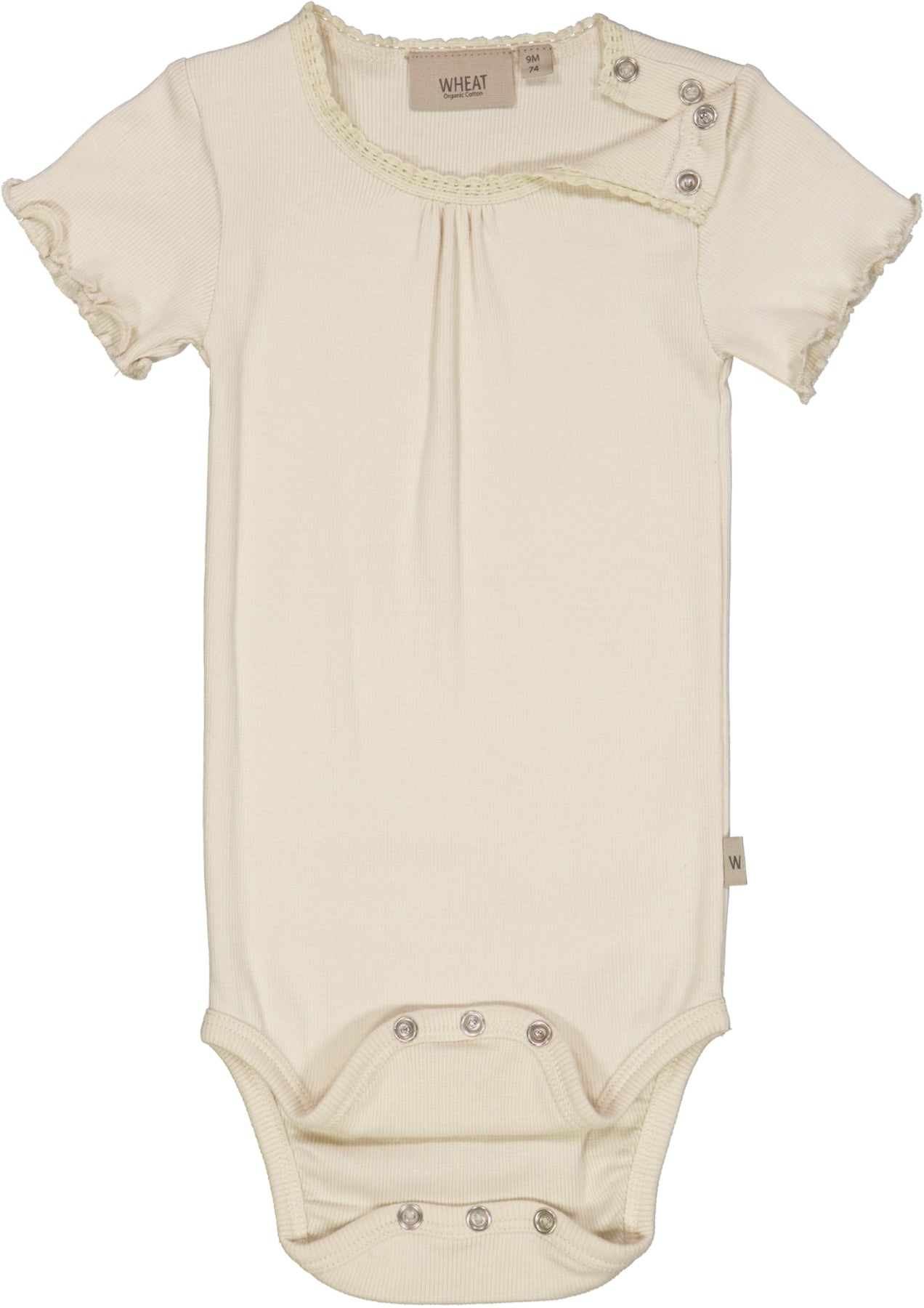 Wheat Body Rib Lace SS - Eggshell