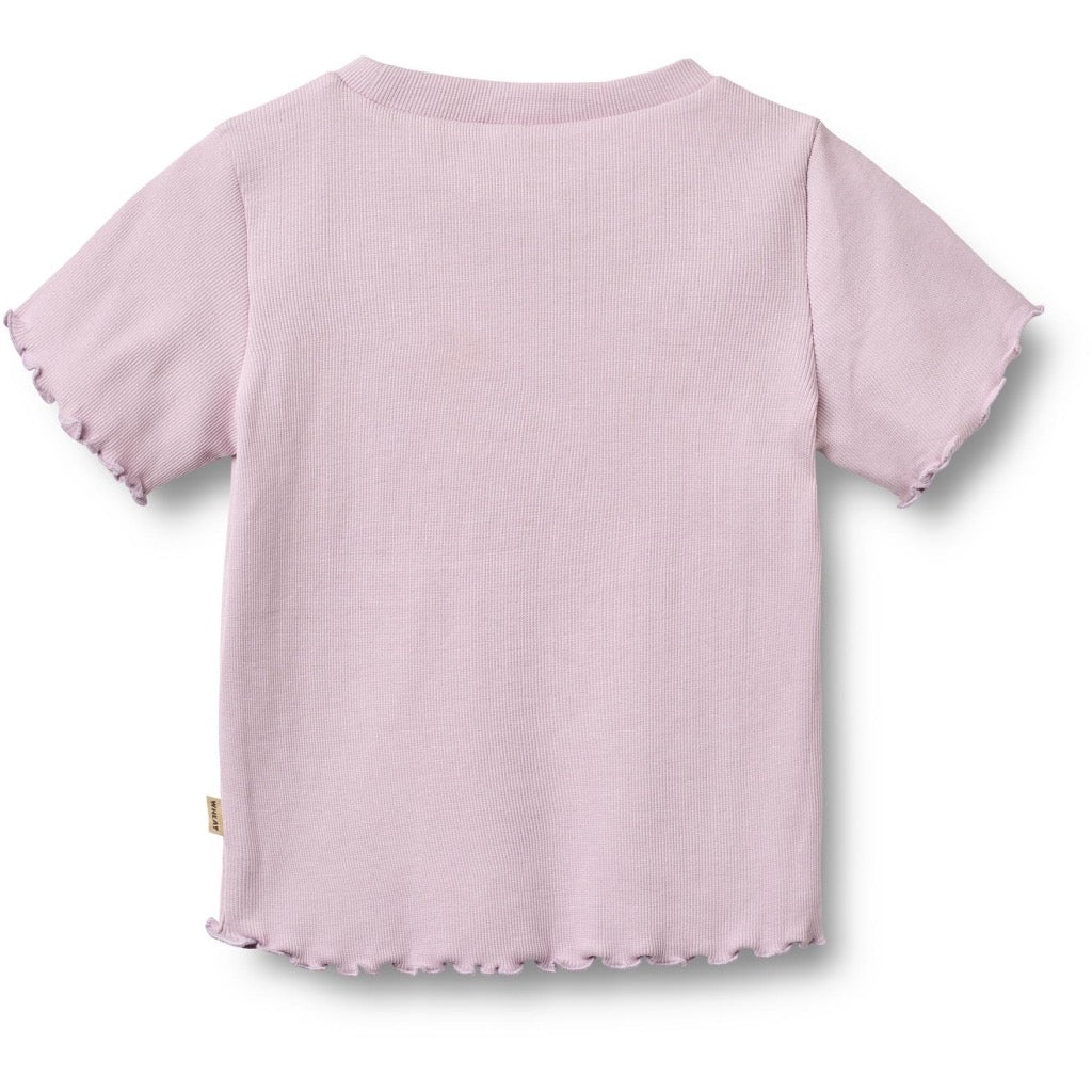 Wheat Alicia Rib T-shirt SS - Powder