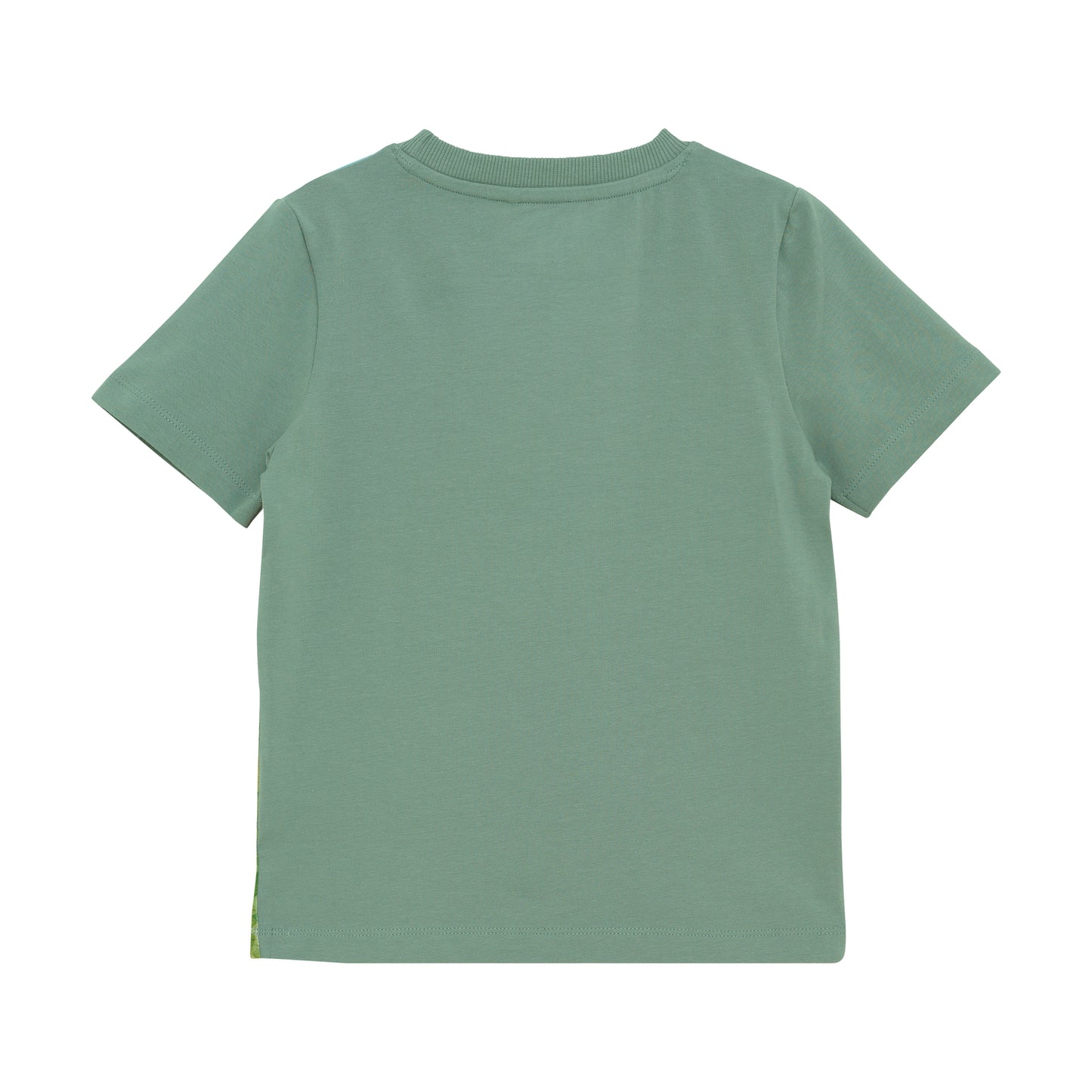 Minymo T-shirt SS - Lily Pad