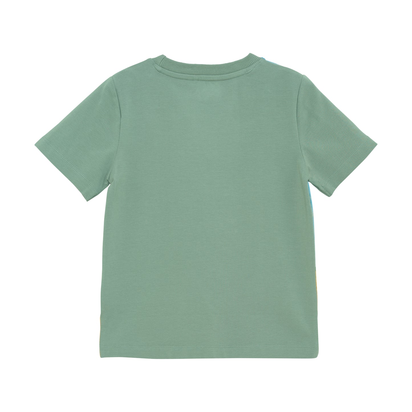 Minymo T-shirt SS - Lily Pad