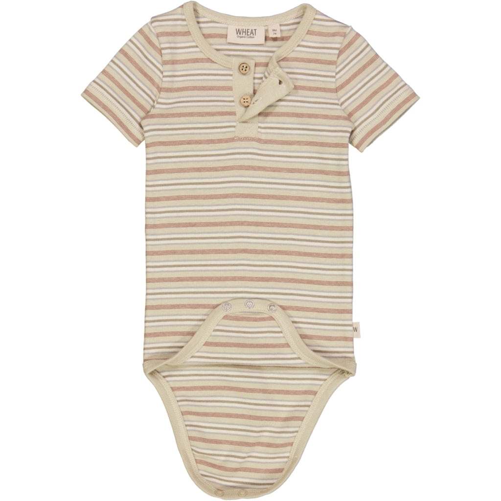 Wheat stribet Body SS - Dusty Stripe