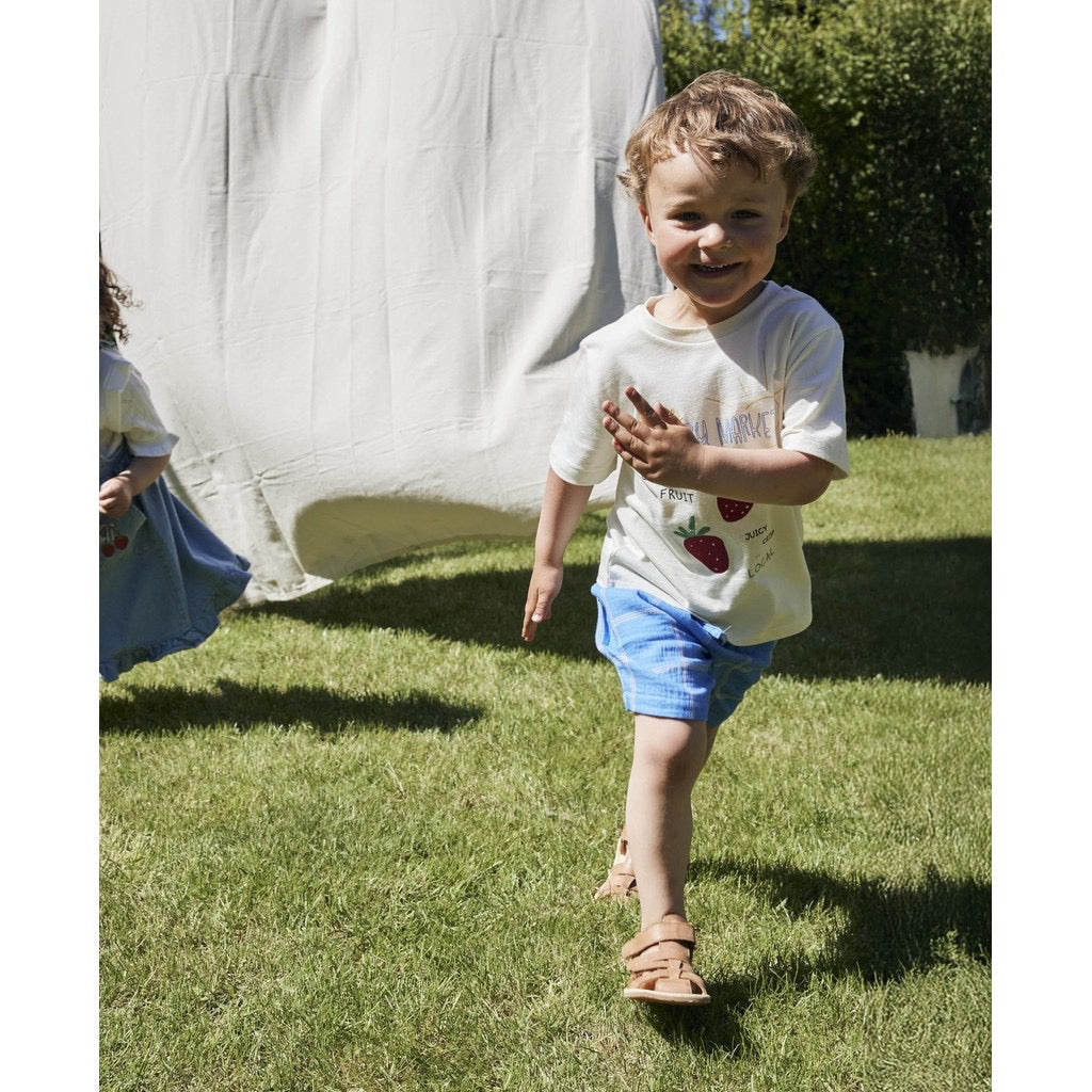 Fliink Cha Cha Shorts - Marina Check