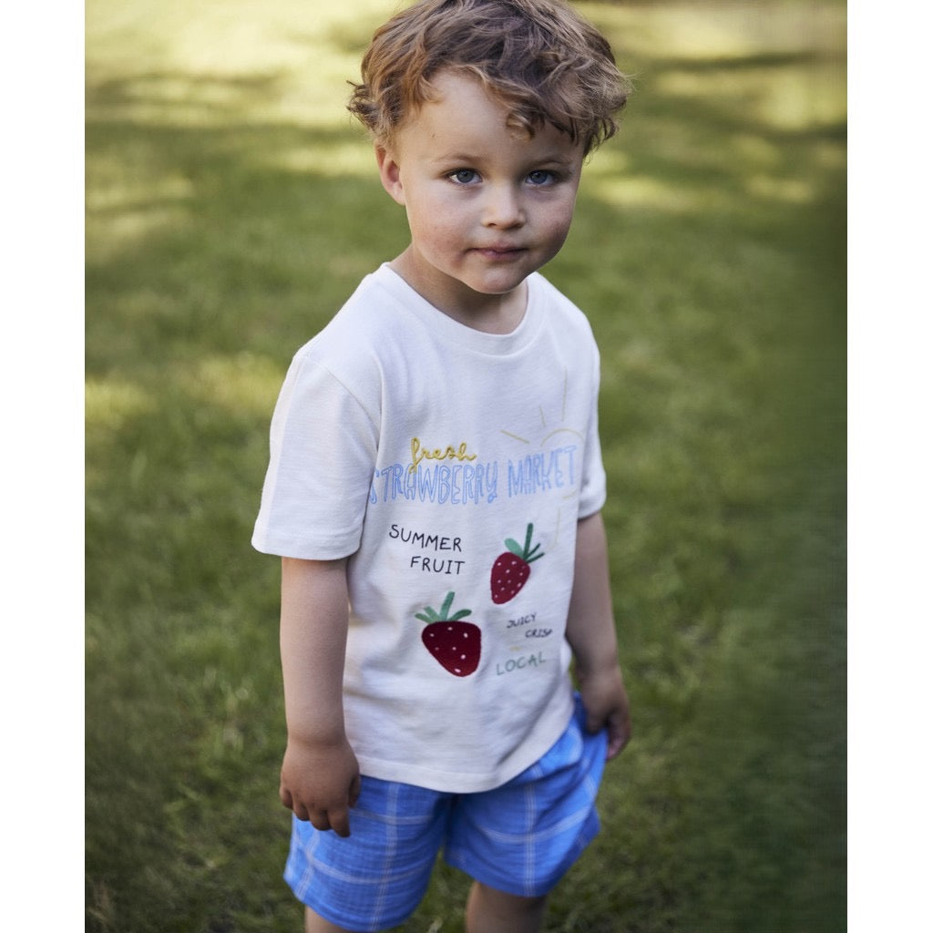 Fliink Cha Cha Shorts - Marina Check
