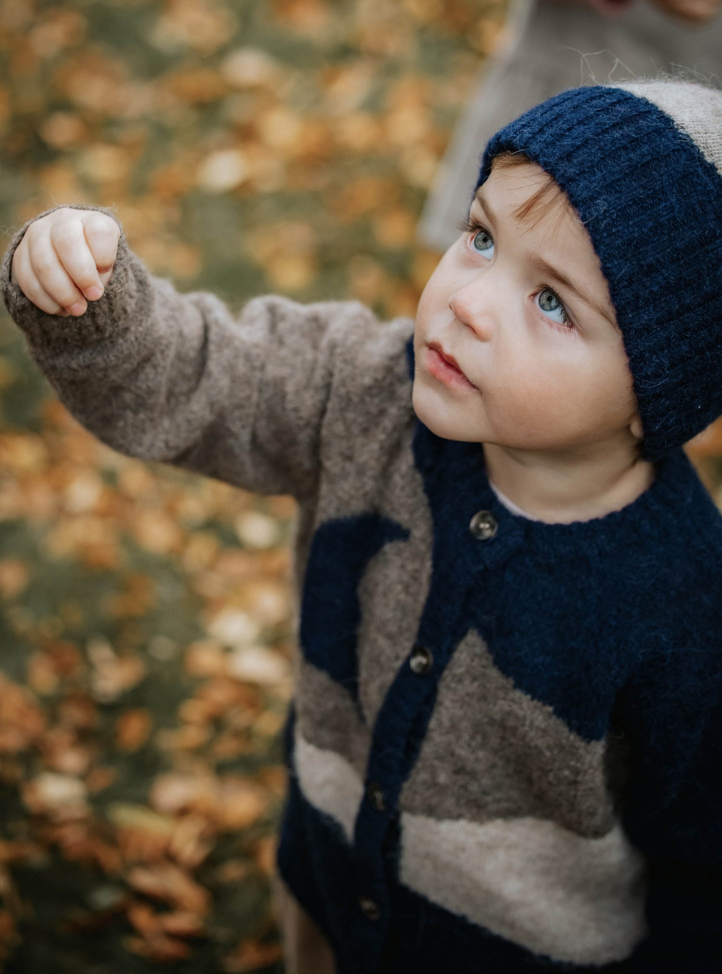 Fliink Star Moon Cardigan - Pine Bark